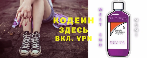 прущие грибы Армянск