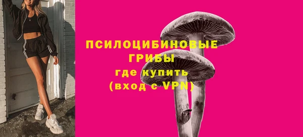 спиды Арсеньев