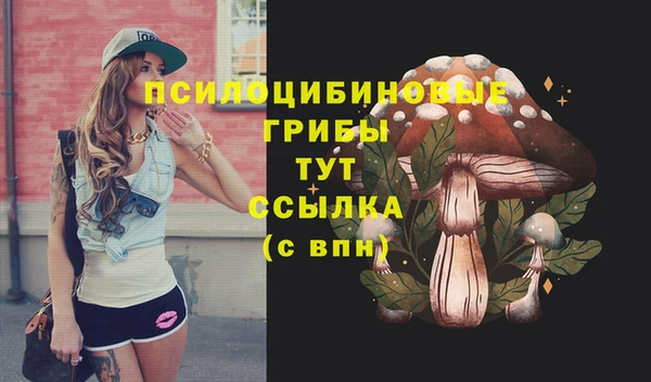 спиды Арсеньев