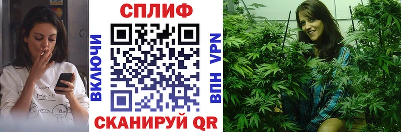 МАРИХУАНА планчик  закладки  Старая Русса 